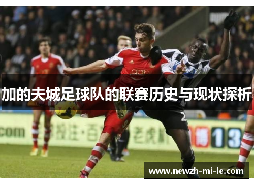 加的夫城足球队的联赛历史与现状探析
