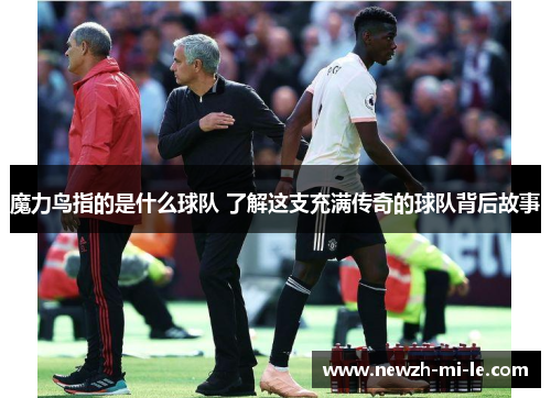 魔力鸟指的是什么球队 了解这支充满传奇的球队背后故事